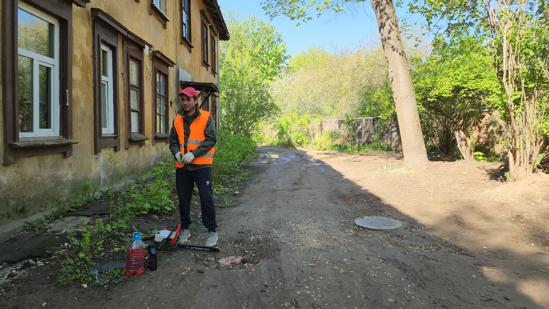 пушкино, удаление деревьев, удаление сухостоя, аварийные деревья, жители, коммунальная служба, вертикалки,