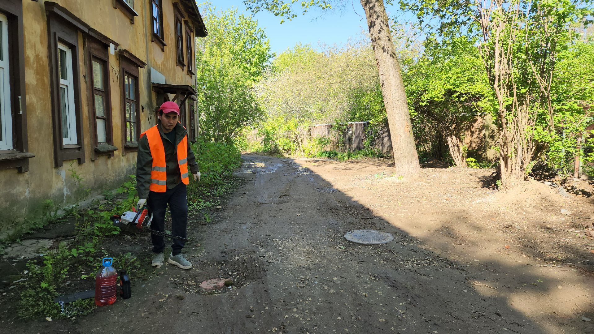 пушкино, удаление деревьев, удаление сухостоя, аварийные деревья, жители, коммунальная служба, вертикалки,