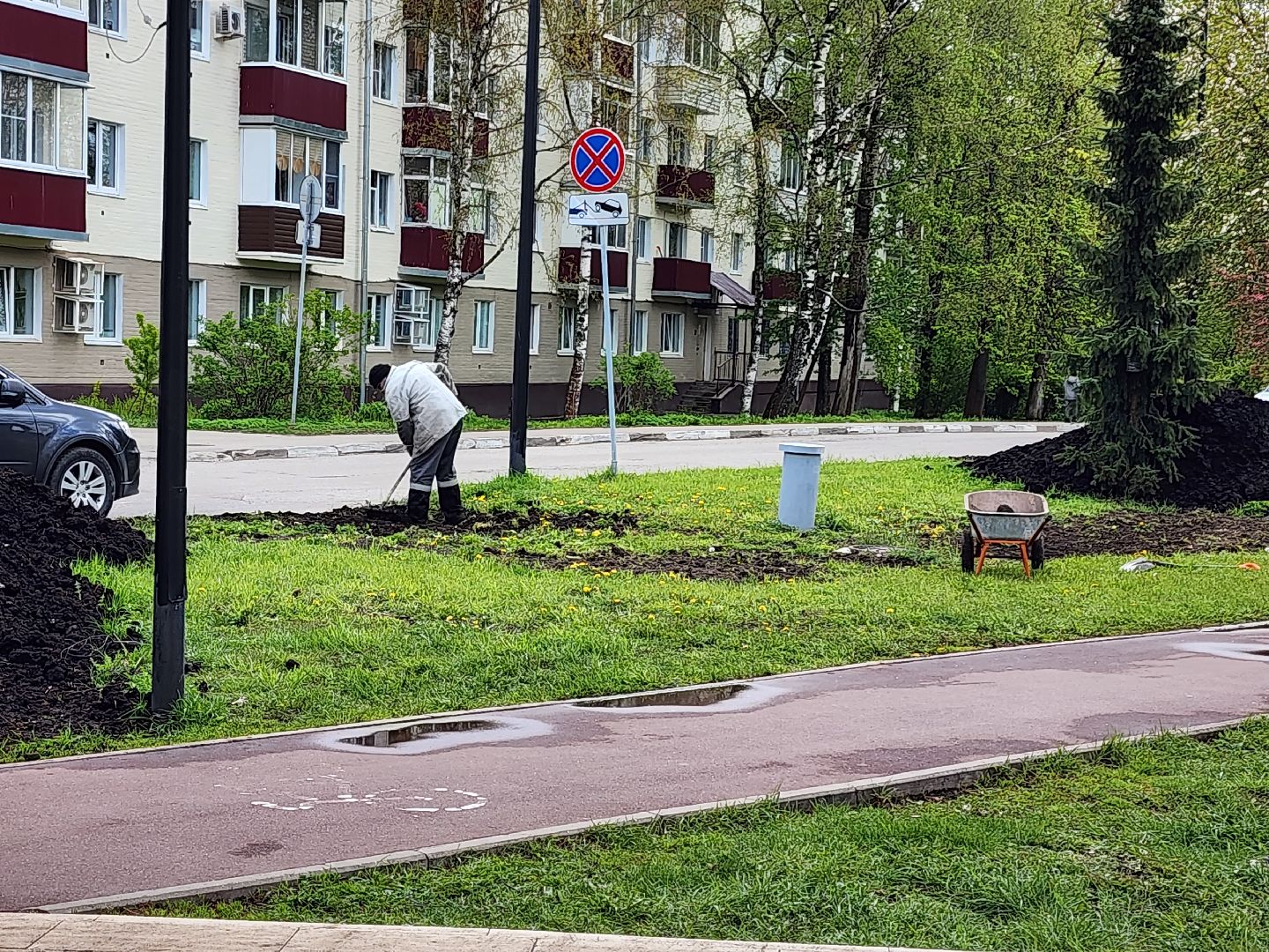 сергиев посад, озеленение города, благоуствойство, газон, бульвар кузнецова,