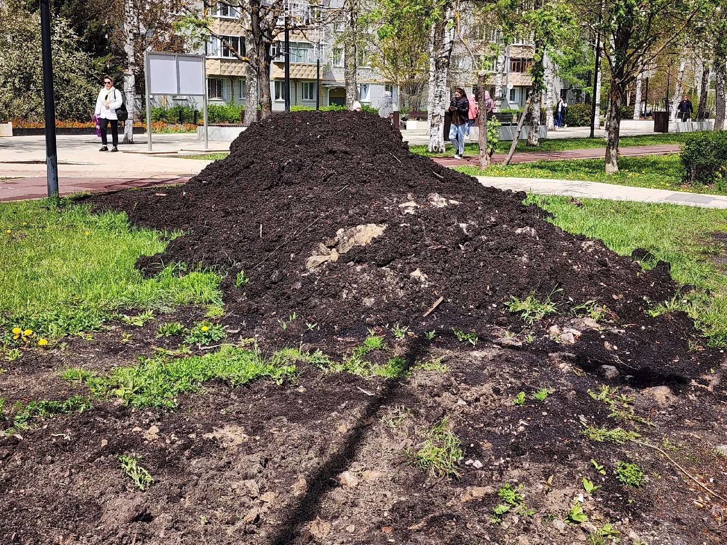 сергиев посад, озеленение города, благоуствойство, газон, бульвар кузнецова,