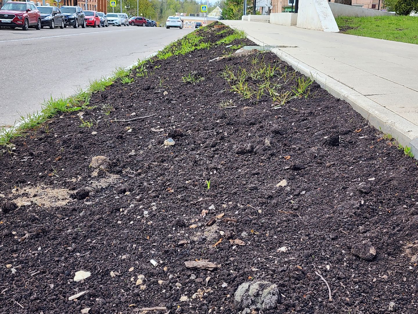 сергиев посад, озеленение города, благоуствойство, газон, бульвар кузнецова,