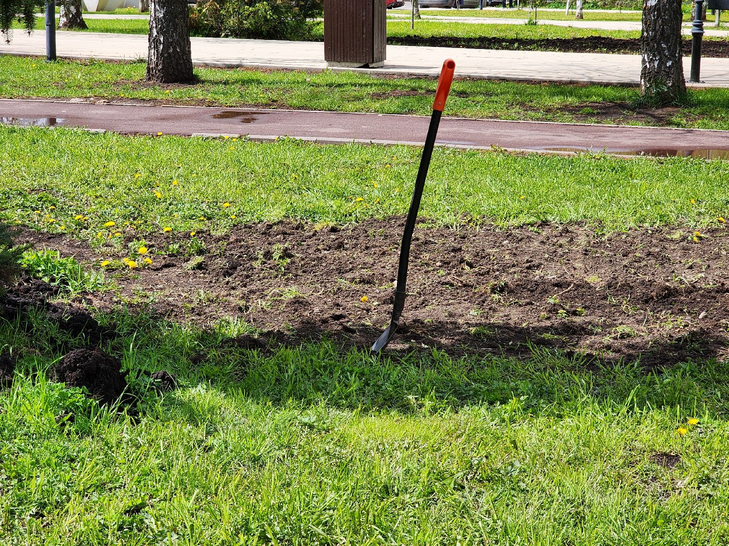 сергиев посад, озеленение города, благоуствойство, газон, бульвар кузнецова,