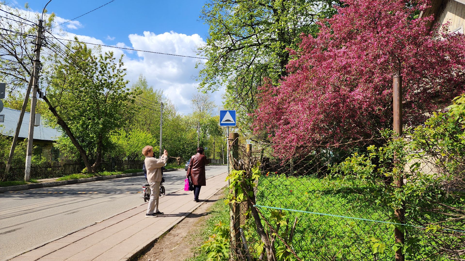 солнечногорск, яблони, туризм, фотосессия,
