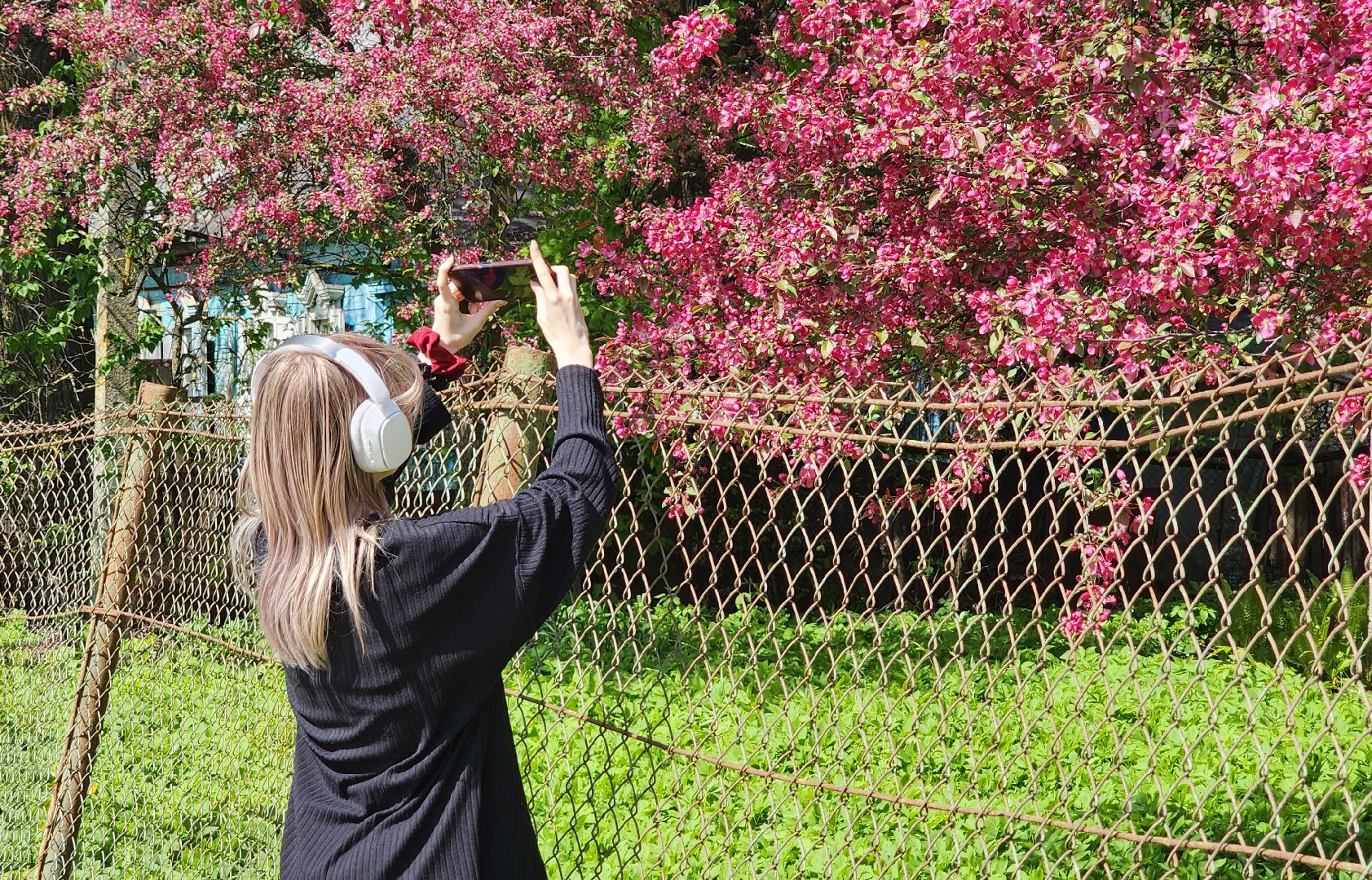 солнечногорск, яблони, туризм, фотосессия,