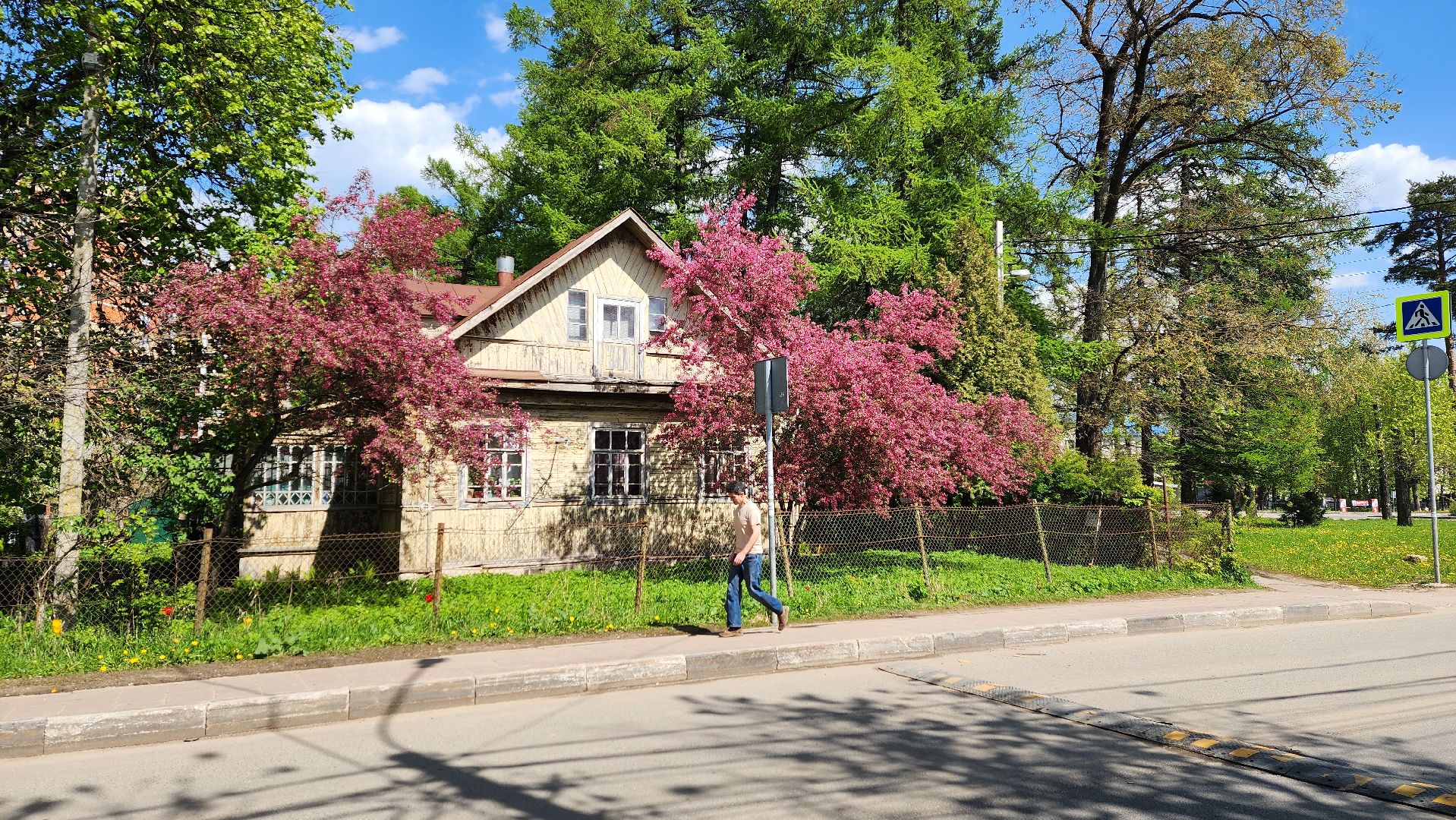 солнечногорск, яблони, туризм, фотосессия,