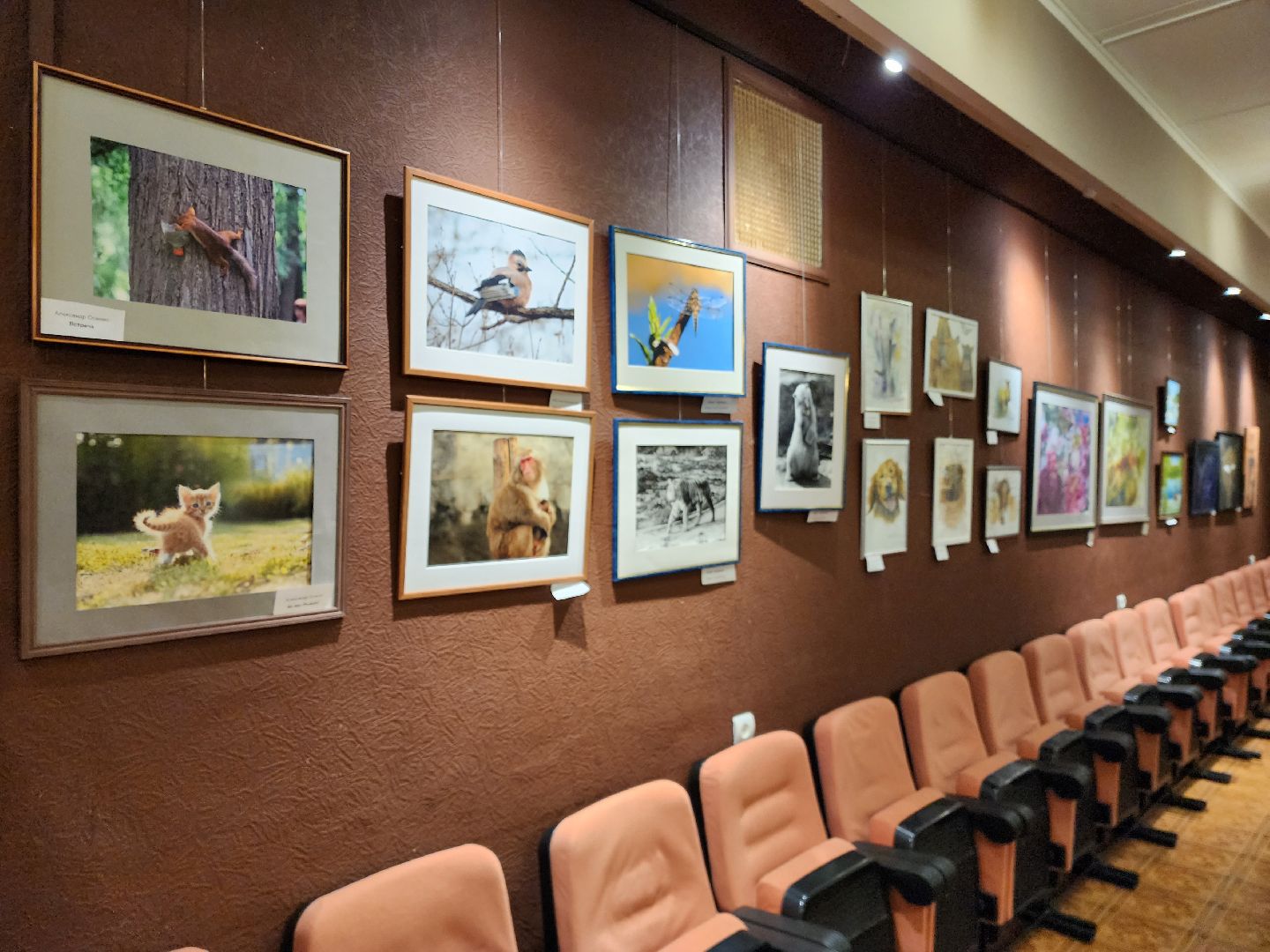 раменское, культура, анималистическая выставка в дк сатурн,