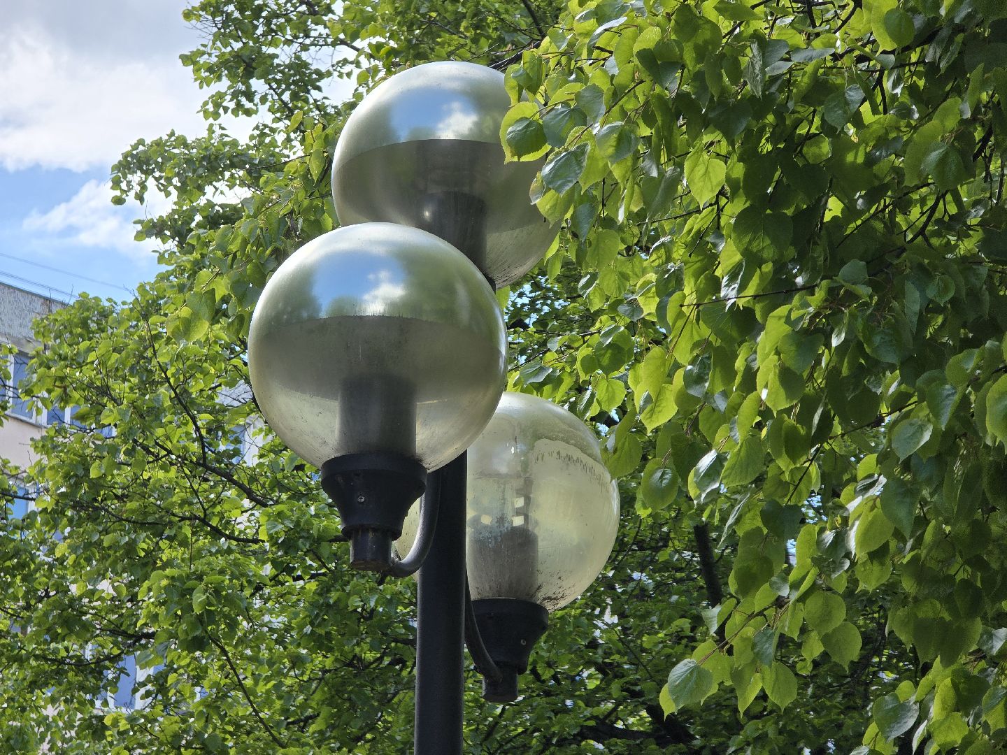 Коломна , благоустройство, сквер, зона отдыха,