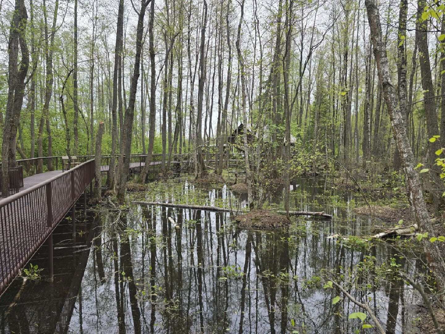 можайск,  можайский муниципальный округ, подмосковье, сафари-парк, сафари-парк в можайске, парк водно-болотных птиц, туризм, туристы, туризм подмосковья,