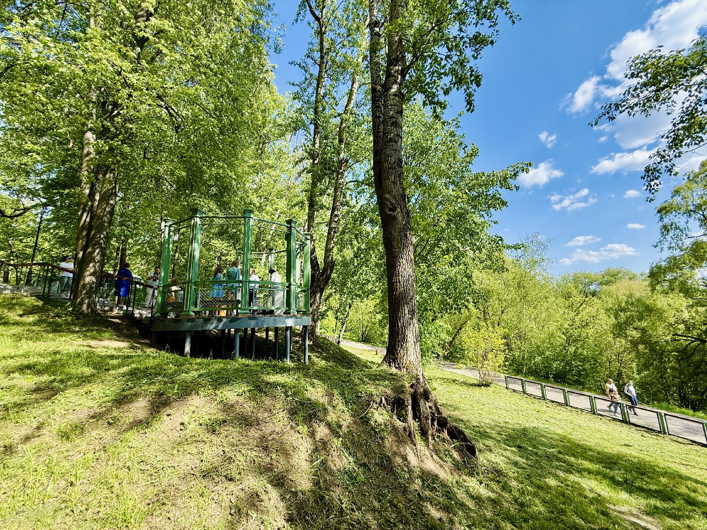 раменское, раменский городской парк, выездная регистрация брака, свадьба, свадьба в подмосковье,