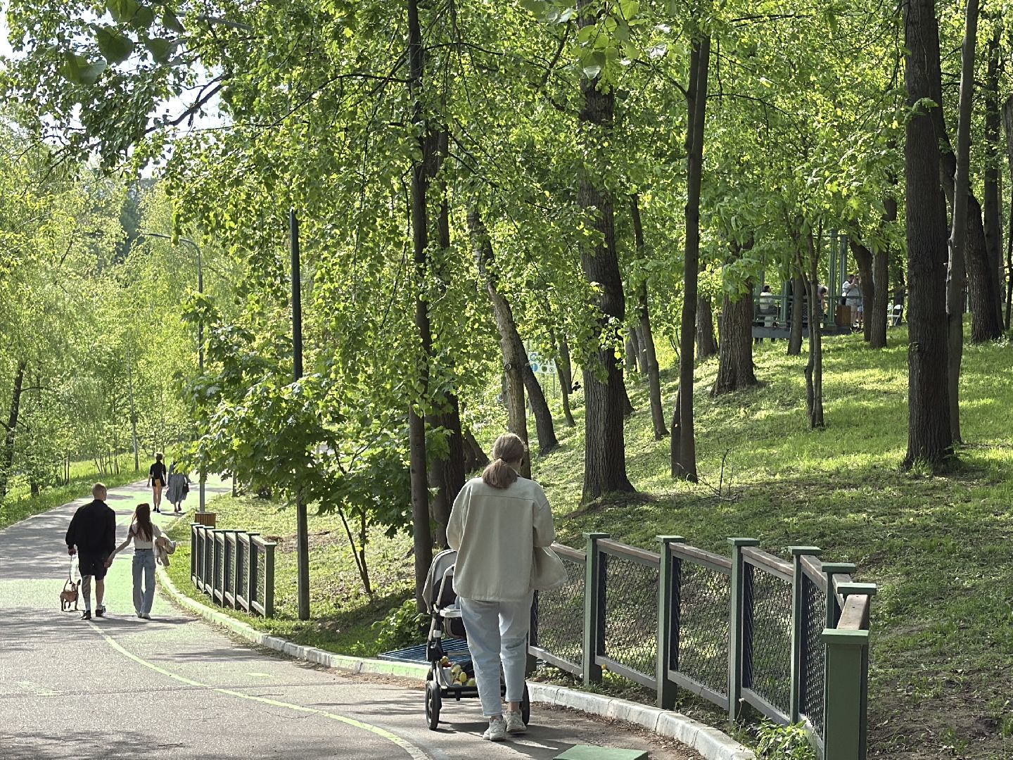 раменское, раменский городской парк, выездная регистрация брака, свадьба, свадьба в подмосковье,