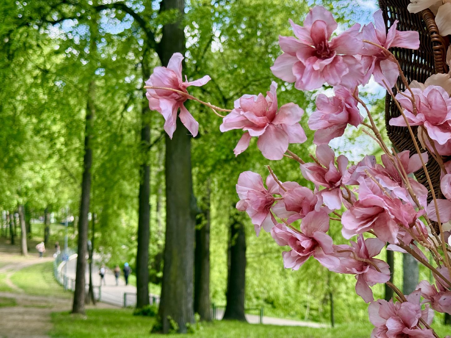 раменское, раменский городской парк, выездная регистрация брака, свадьба, свадьба в подмосковье,