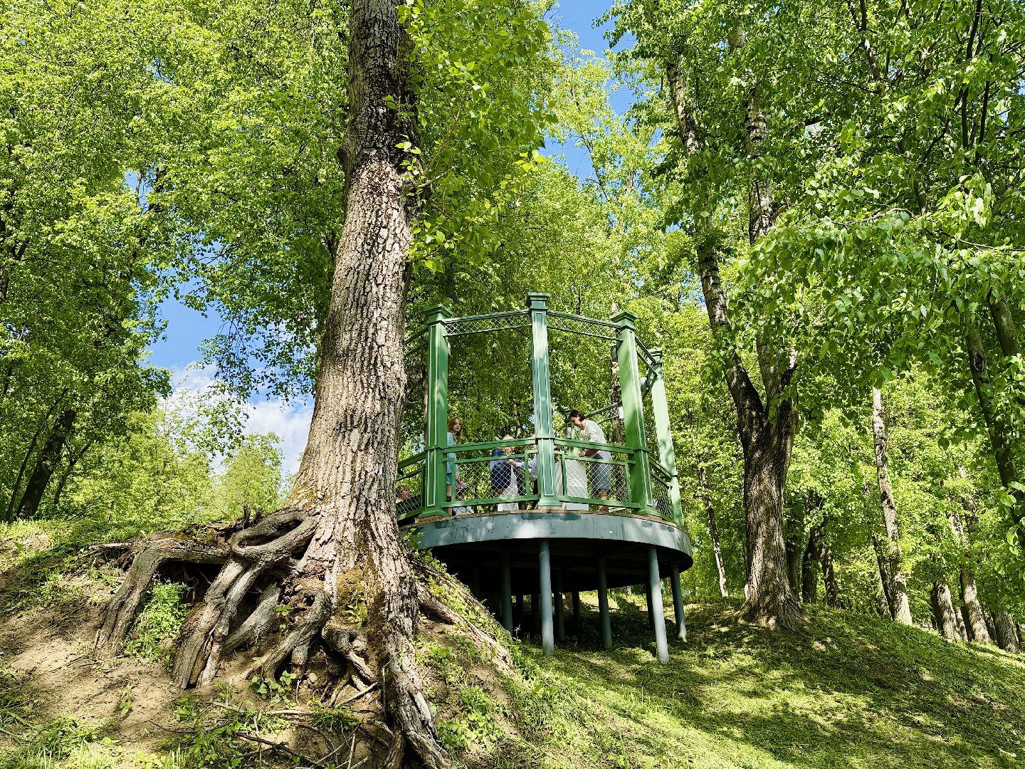 раменское, раменский городской парк, выездная регистрация брака, свадьба, свадьба в подмосковье,