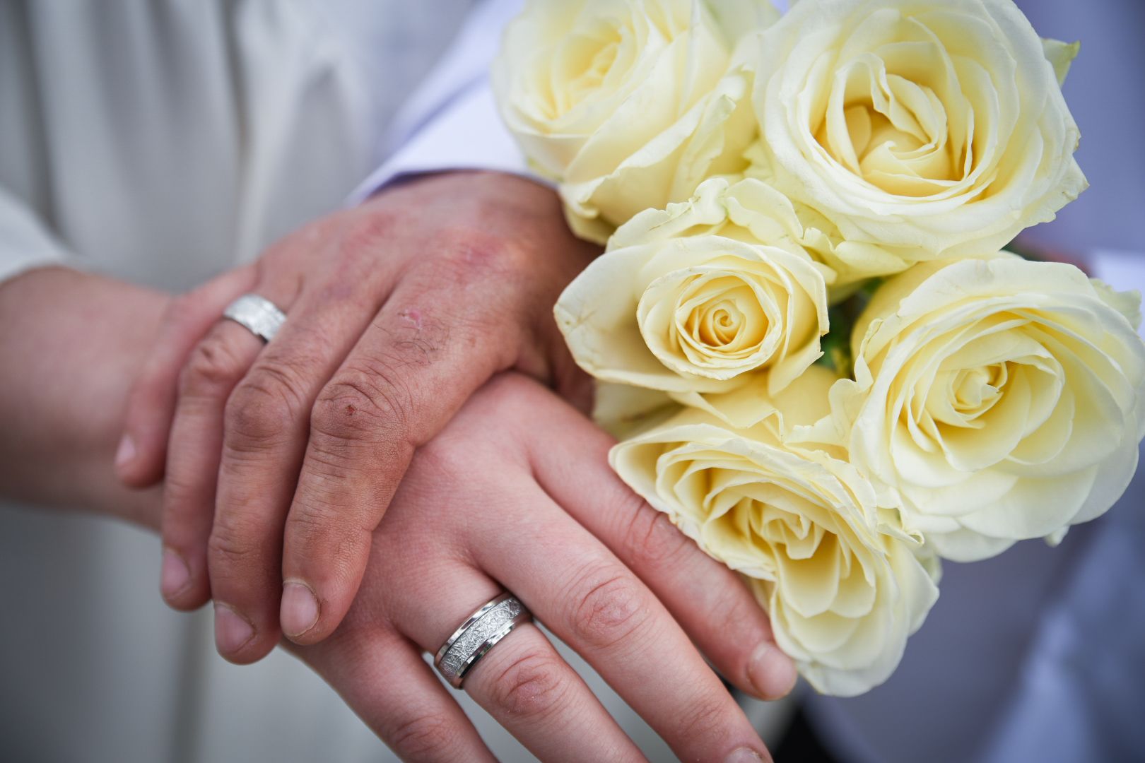 бронницы, выездная регистрация брака, парк бронницкий луг, выездная регистрация брака в Бронницах ,