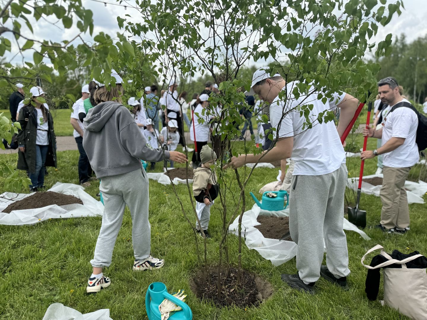высадка деревьев, ленинский городской округ, сад памяти, возложение цветов,