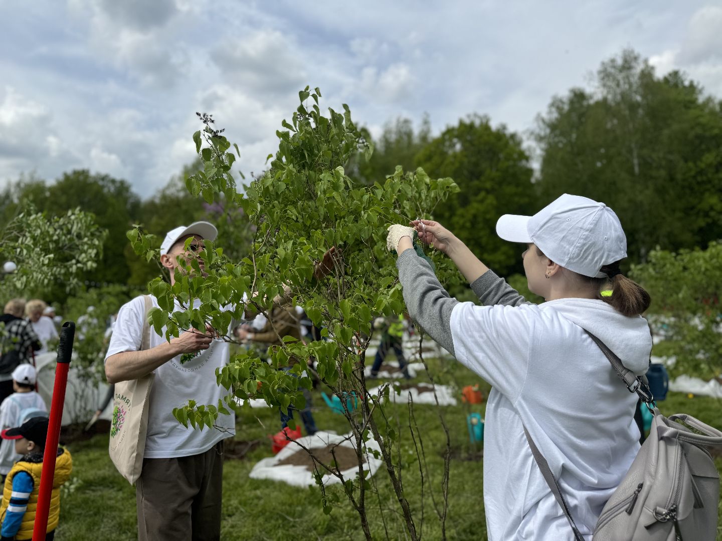 высадка деревьев, ленинский городской округ, сад памяти, возложение цветов,