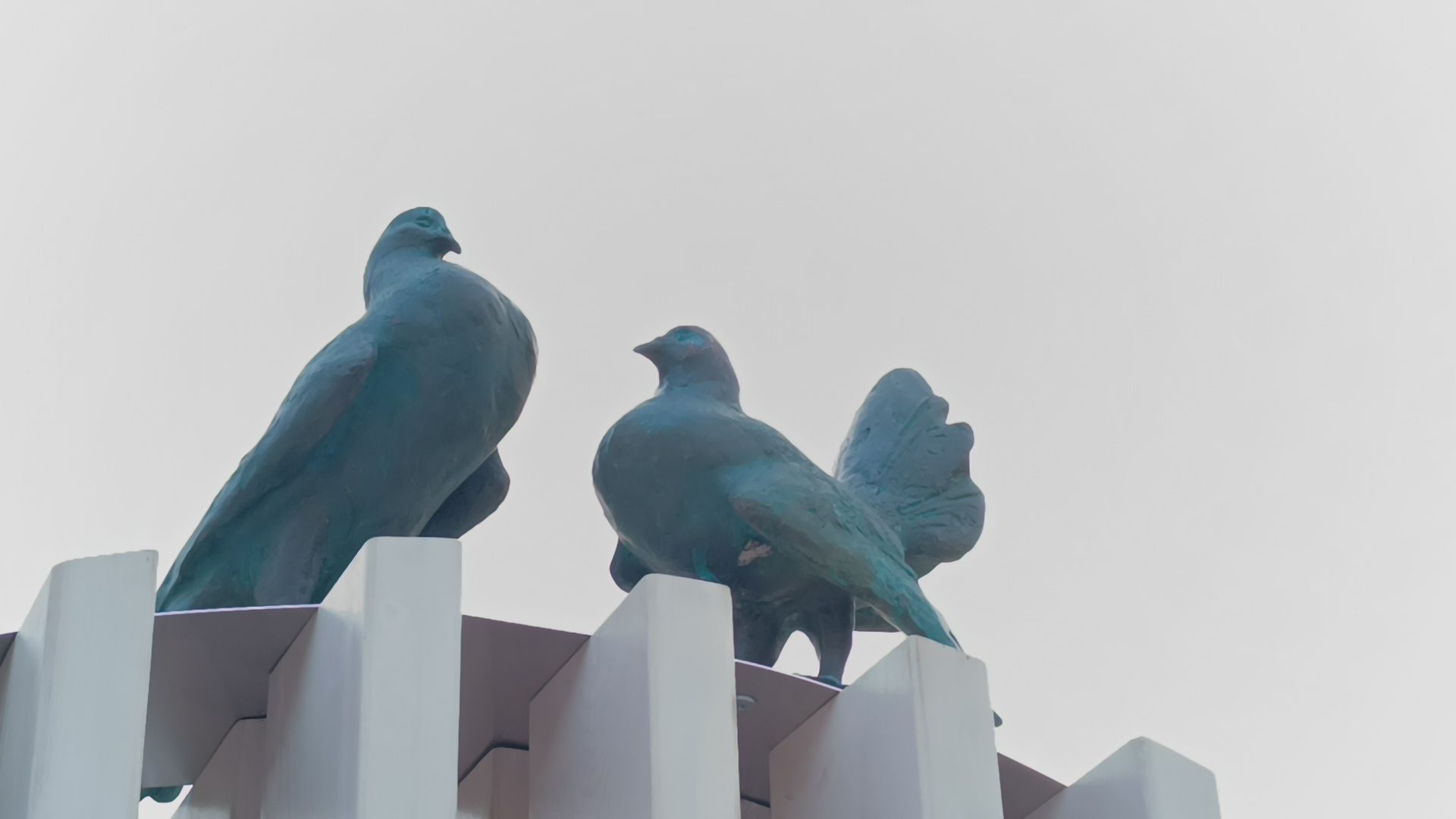 благоустройство, лобня, загс,