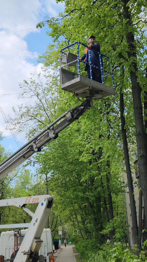 пушкино, спиливание веток, спил деревьев, сухостойные деревья, коммунальная служба,удаление деревьев,