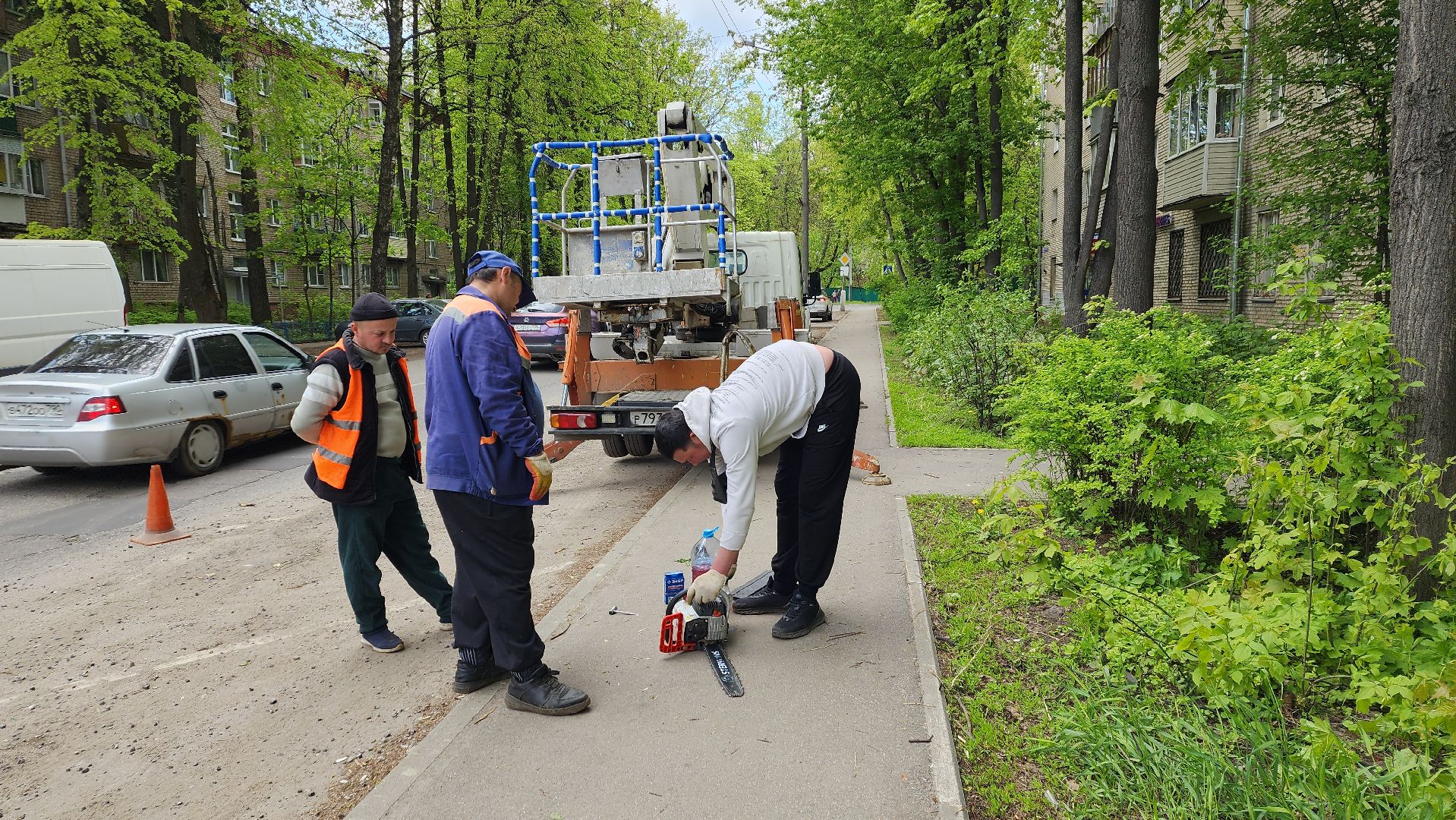 пушкино, спиливание веток, спил деревьев, сухостойные деревья, коммунальная служба,удаление деревьев,