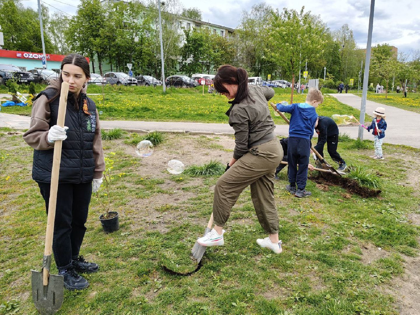 пушкино, сад победы, акция, великая отечественная война, саженцы, берег реки, жители, сотрудники,деревья, высадка деревьев,
