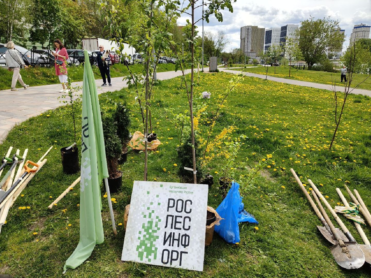 пушкино, сад победы, акция, великая отечественная война, саженцы, берег реки, жители, сотрудники,деревья, высадка деревьев,