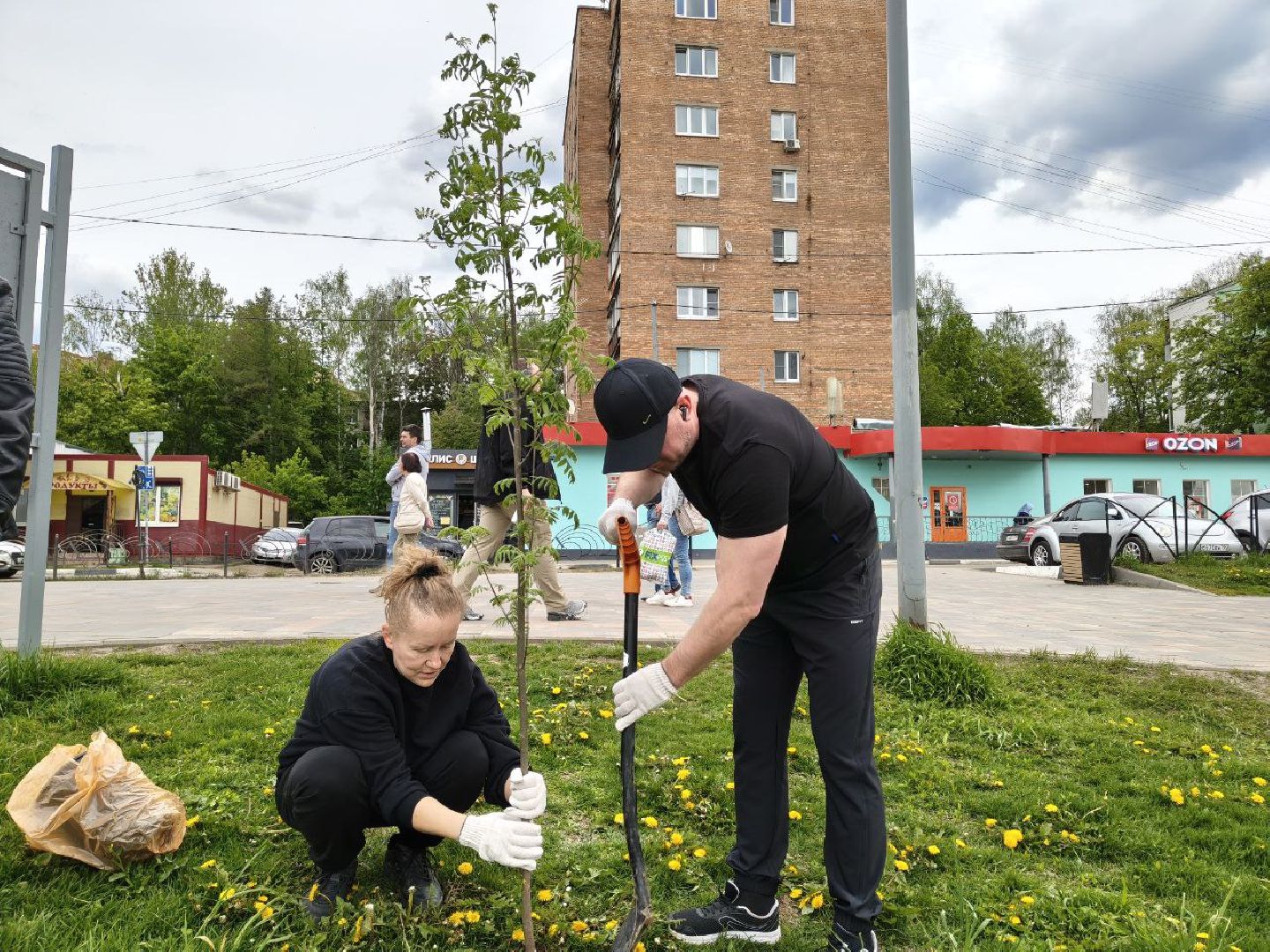 пушкино, сад победы, акция, великая отечественная война, саженцы, берег реки, жители, сотрудники,деревья, высадка деревьев,