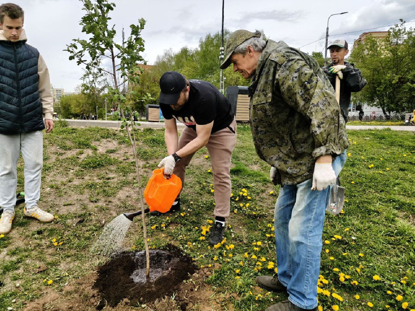 пушкино, сад победы, акция, великая отечественная война, саженцы, берег реки, жители, сотрудники,деревья, высадка деревьев,