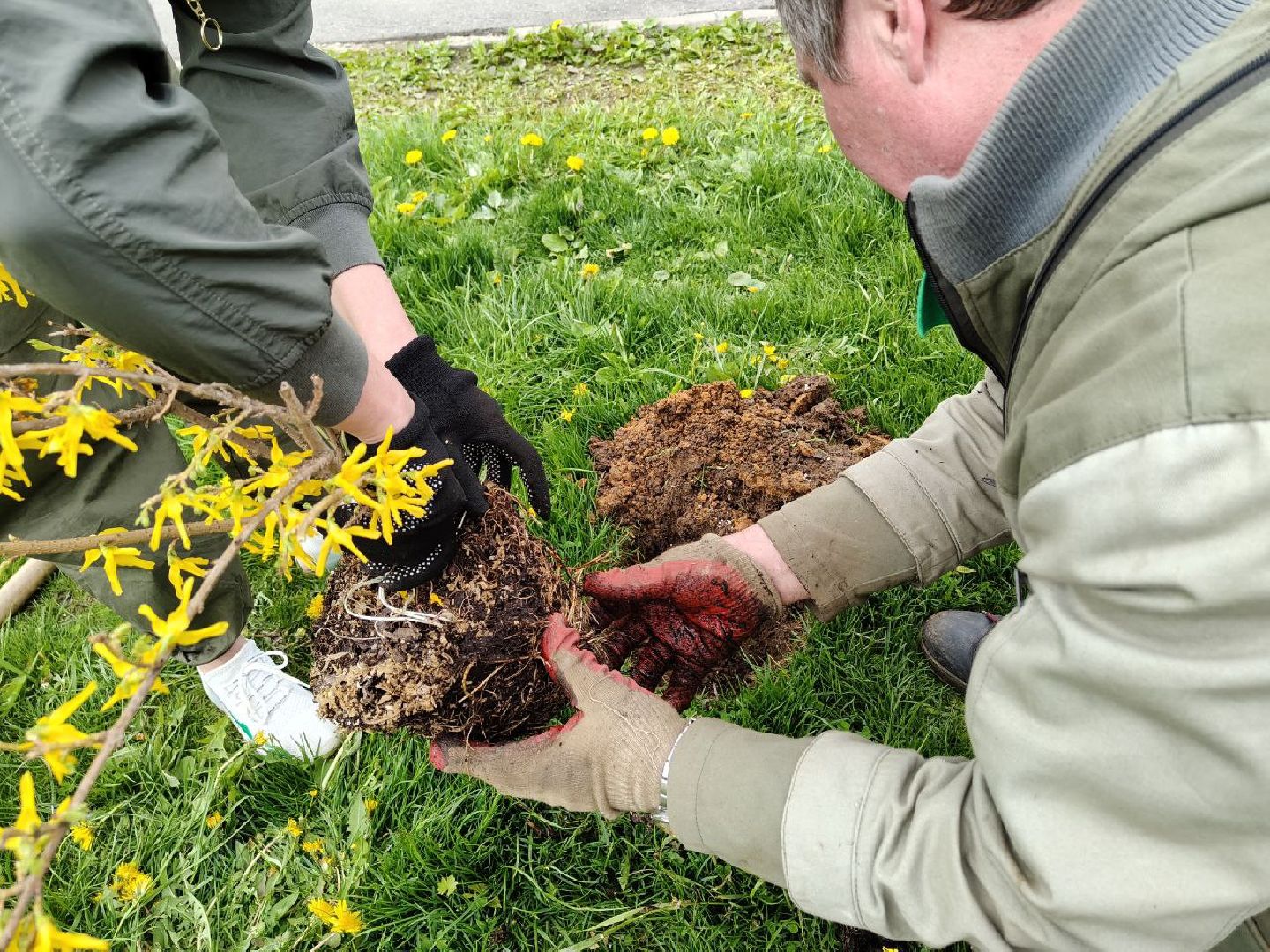пушкино, сад победы, акция, великая отечественная война, саженцы, берег реки, жители, сотрудники,деревья, высадка деревьев,