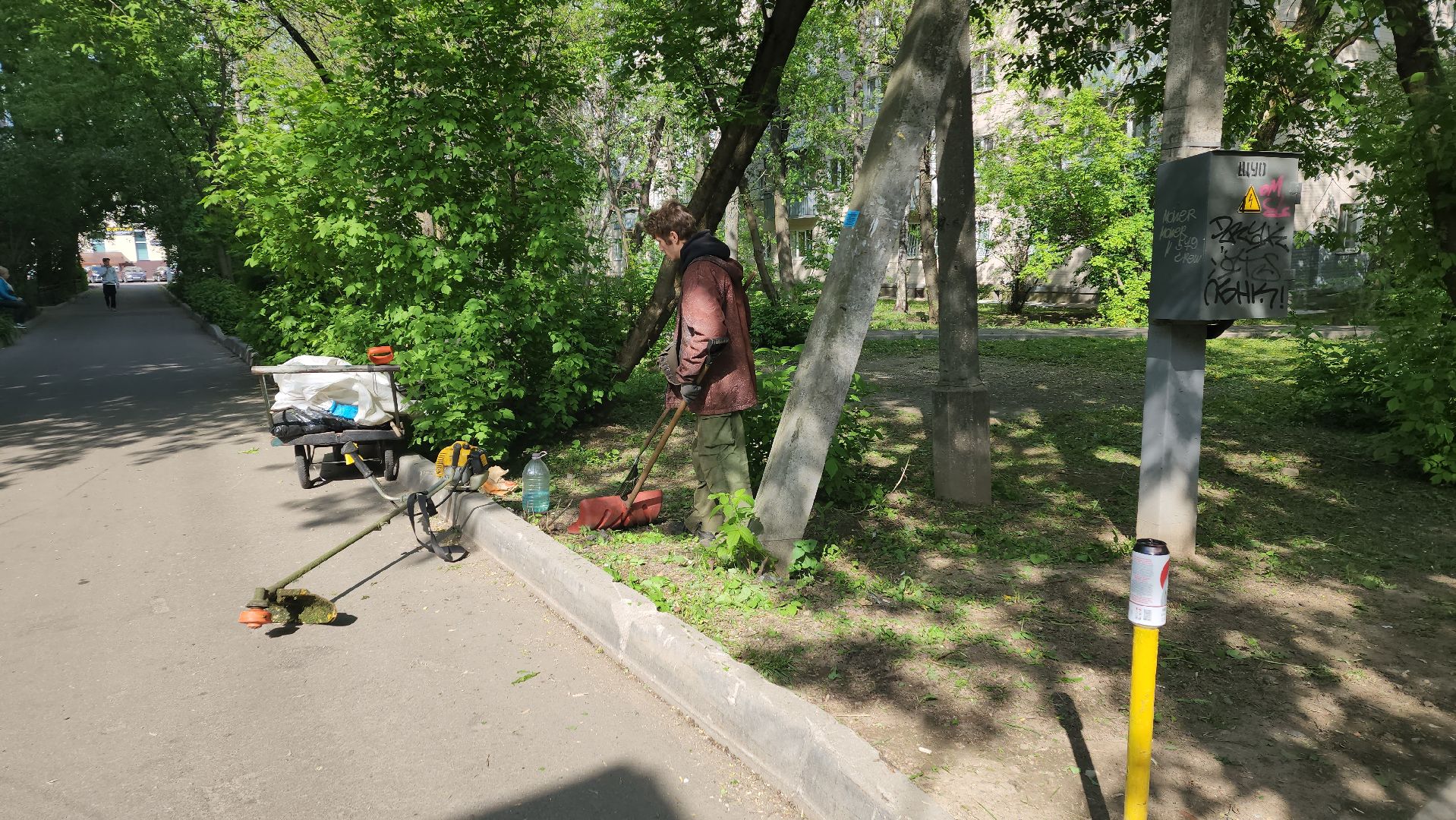 пушкино, покос травы, коммунальная служба, дворовые территории, газон, уборка мусора,