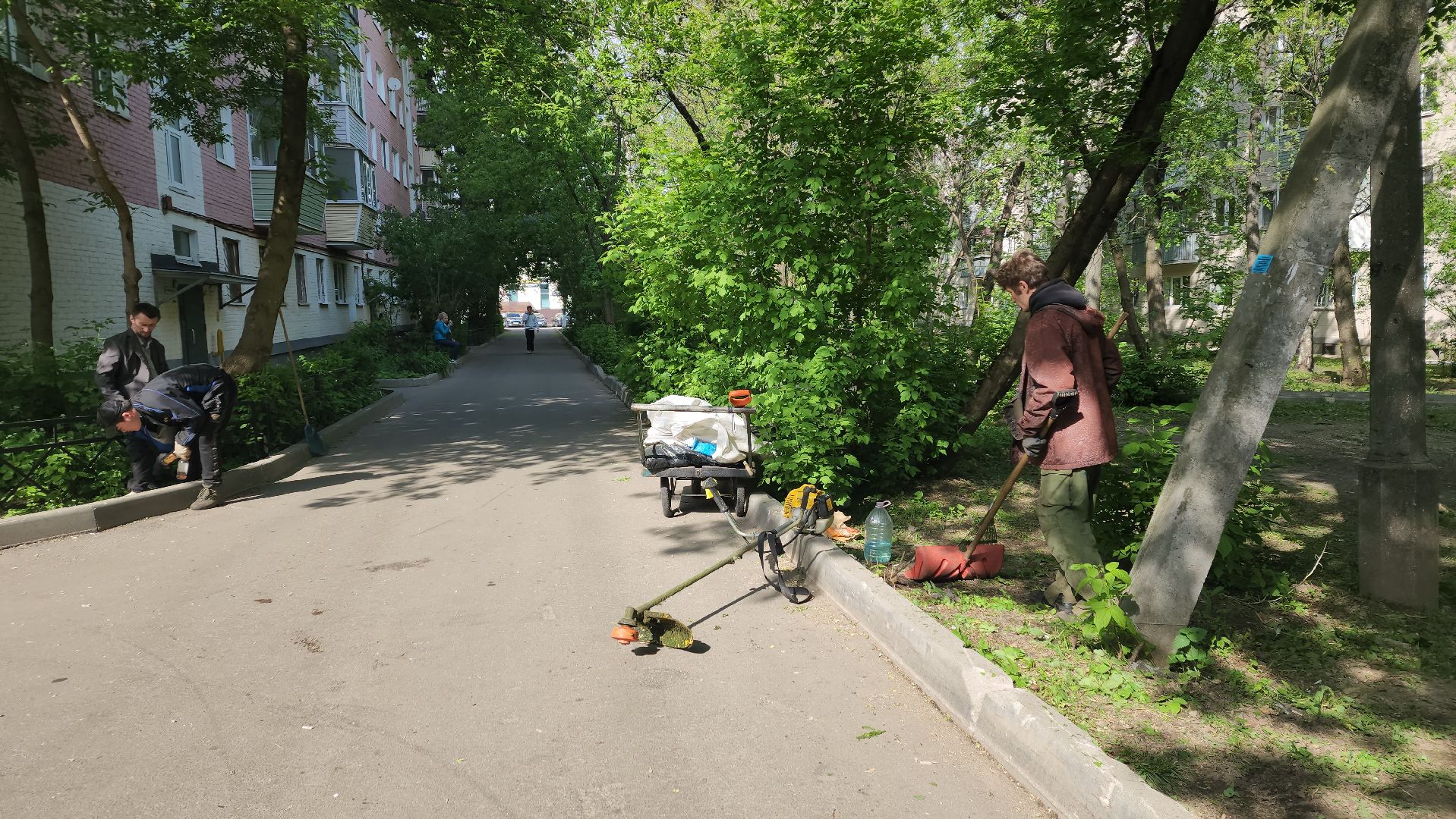 пушкино, покос травы, коммунальная служба, дворовые территории, газон, уборка мусора,