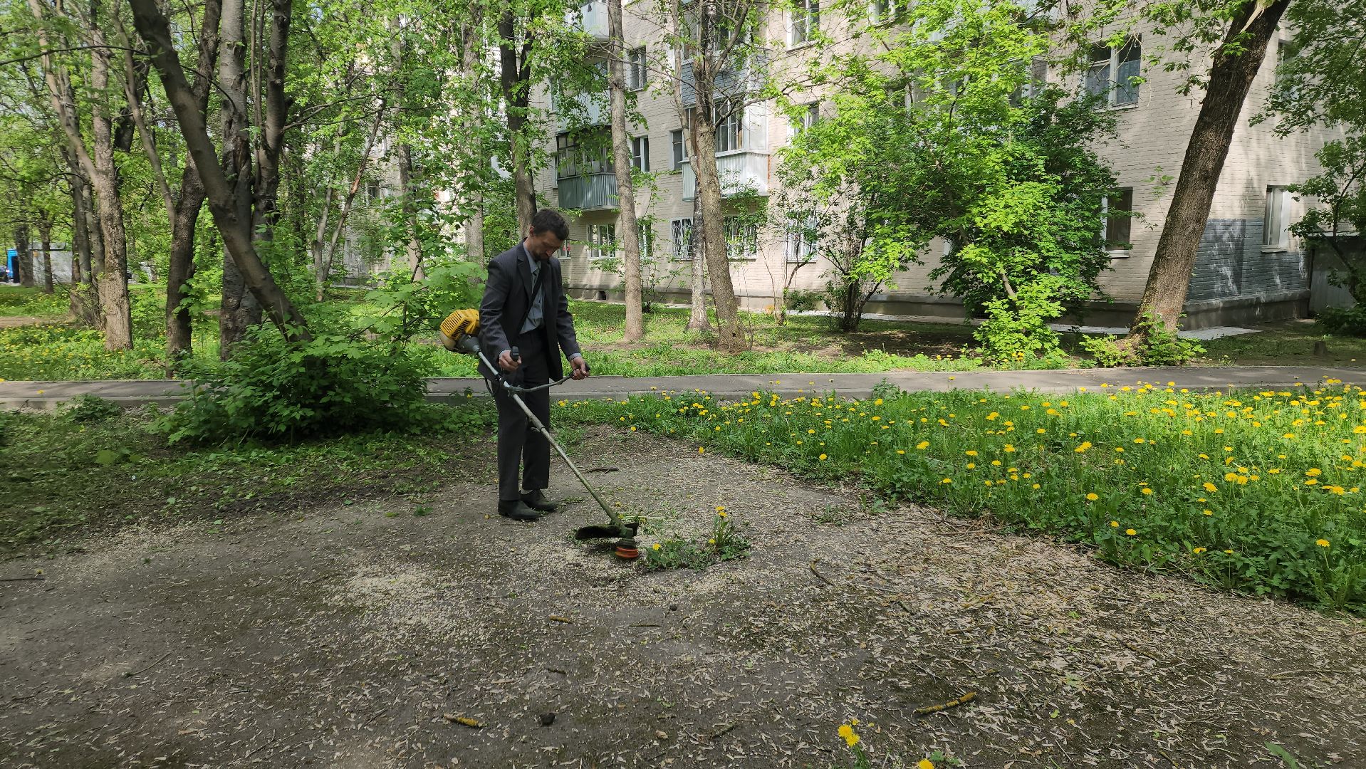 пушкино, покос травы, коммунальная служба, дворовые территории, газон, уборка мусора,
