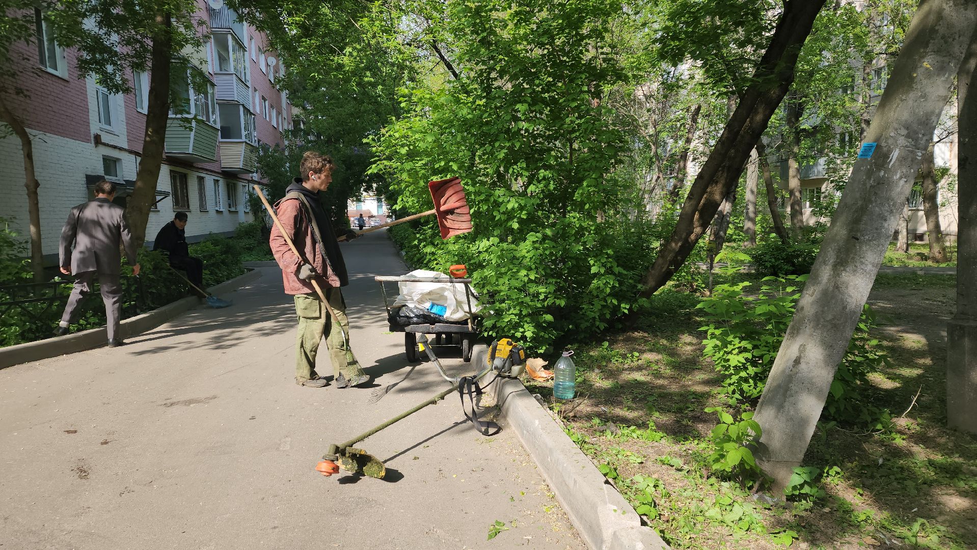 пушкино, покос травы, коммунальная служба, дворовые территории, газон, уборка мусора,
