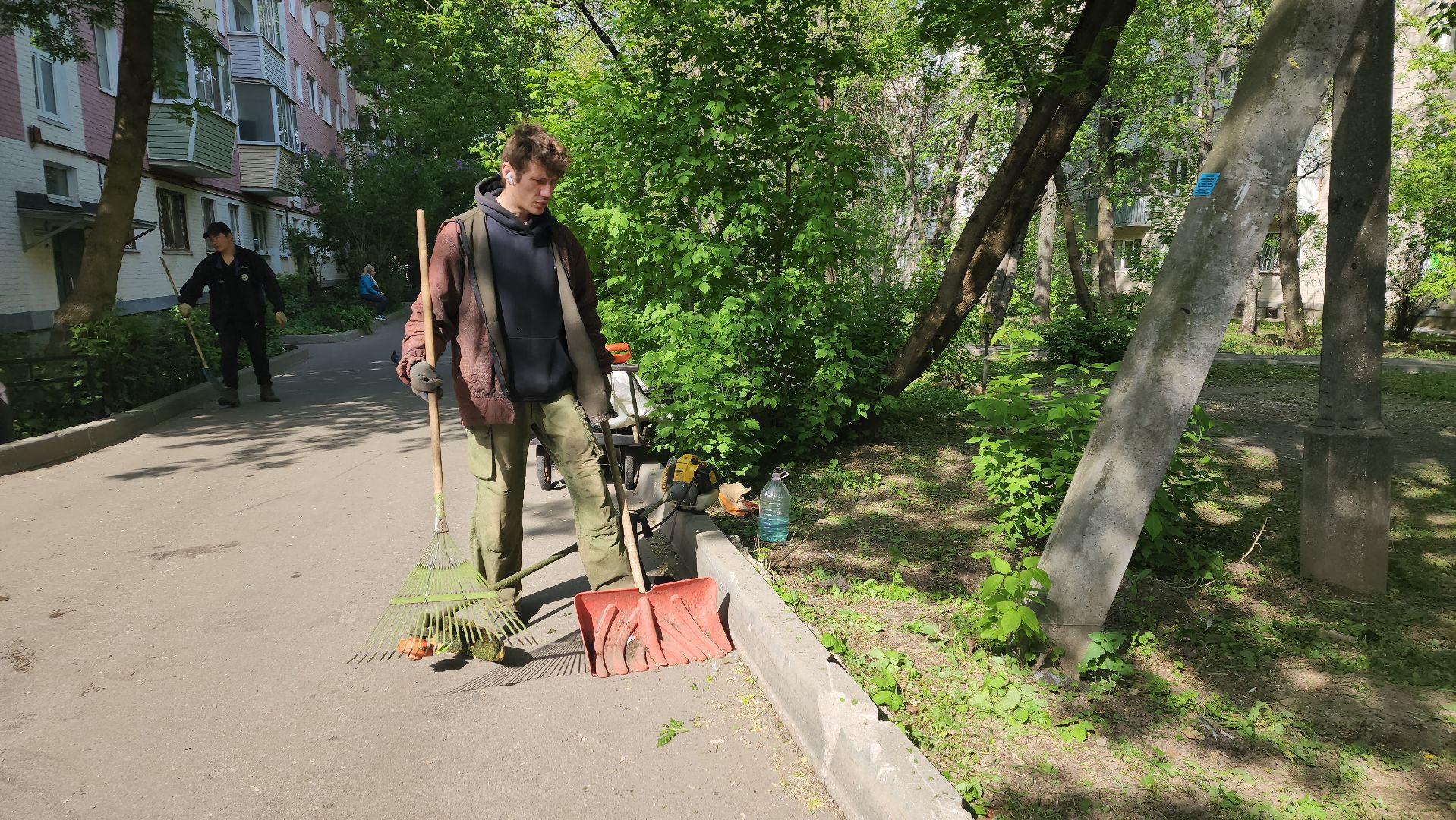 пушкино, покос травы, коммунальная служба, дворовые территории, газон, уборка мусора,