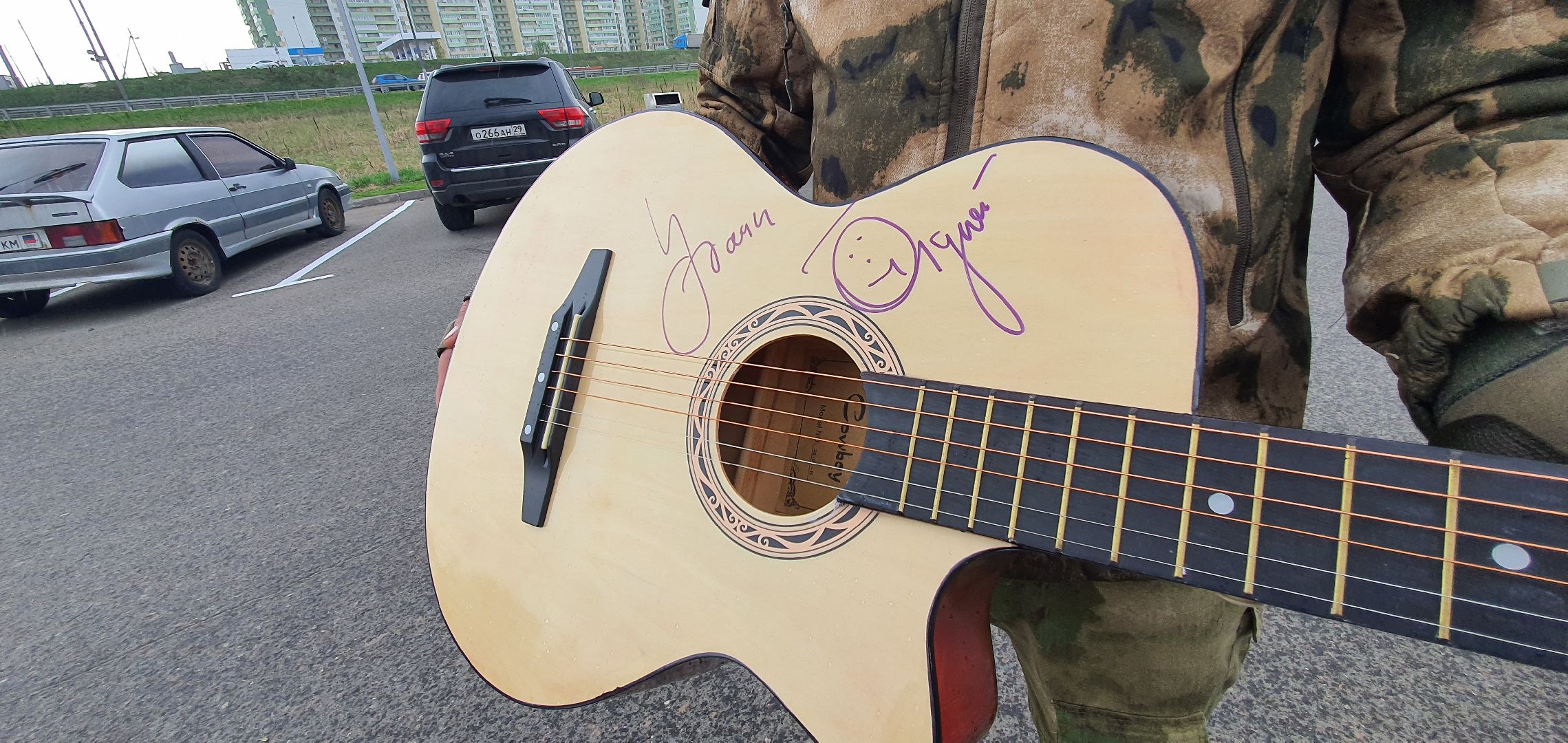 Газманов, гитары, Домодедово