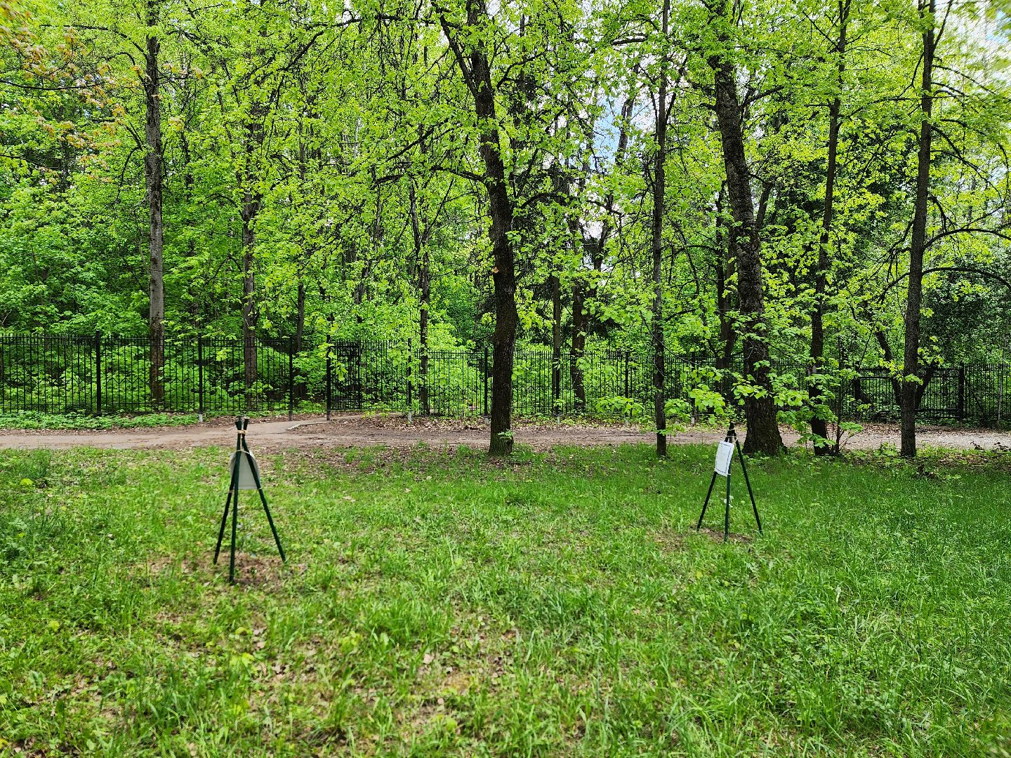 тополь победы, 80 - летие победы, вниилм, пушкино,