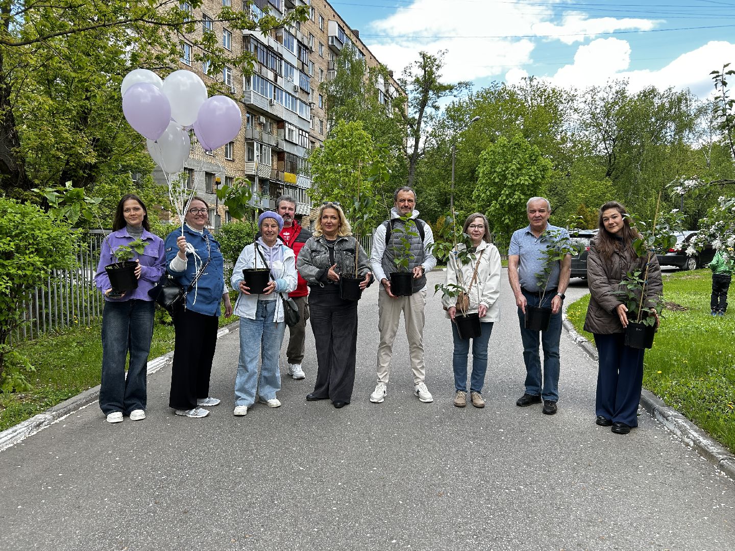 королёв, посадка сирени в королеве,  аллеи из сирени в королеве,