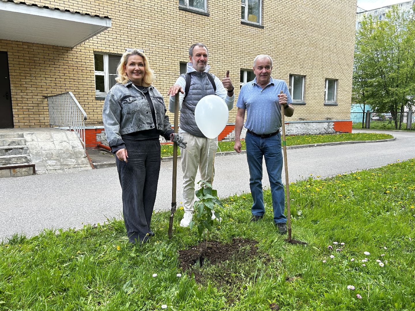 королёв, посадка сирени в королеве,  аллеи из сирени в королеве,