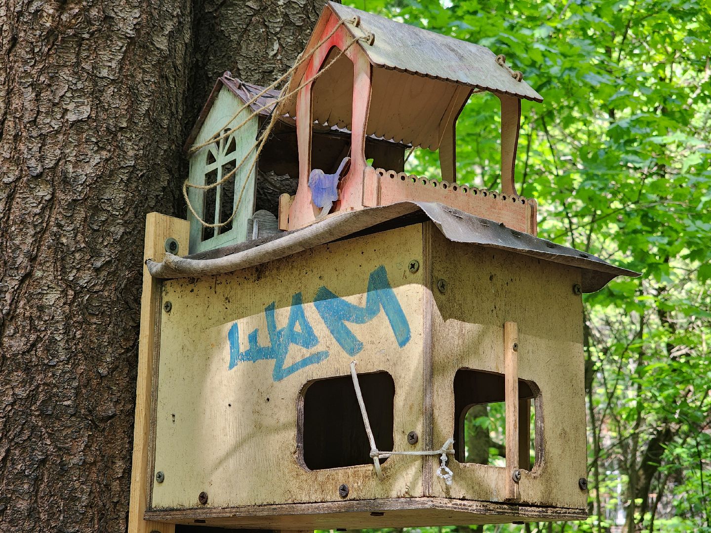 пушкино, кормушки для белок в пушкино, вниилм, дендропарк в пушкино,