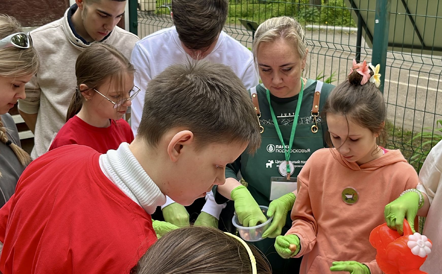 наро-фоминск, наро-фоминский городской округ, общественный огород, центральный парк наро-фоминска,