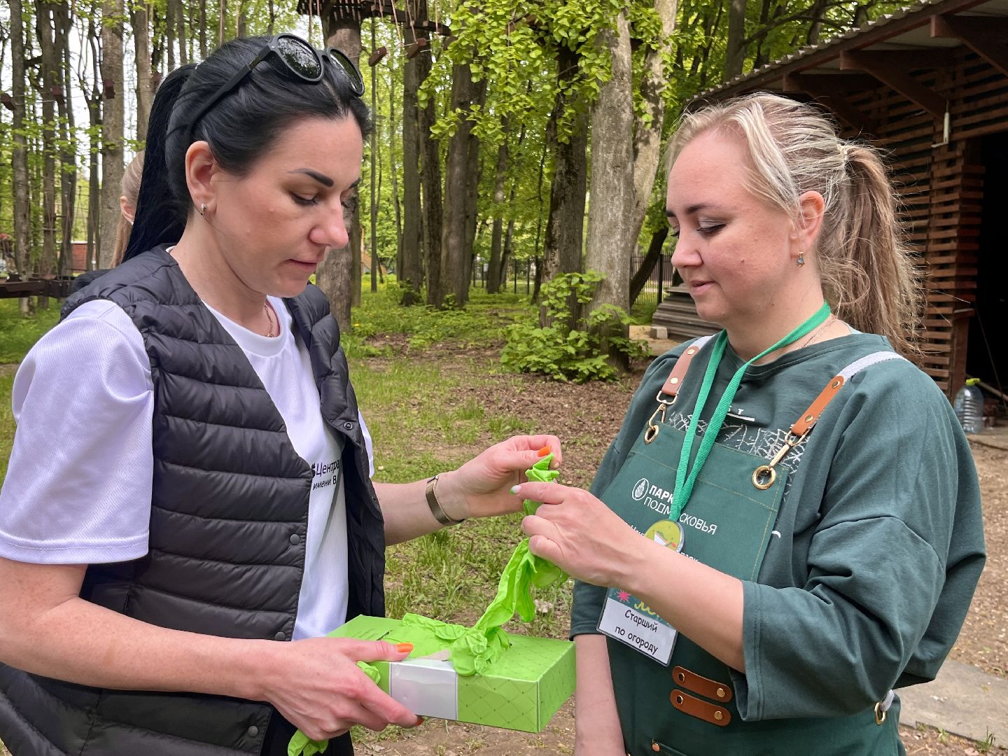 наро-фоминск, наро-фоминский городской округ, общественный огород, центральный парк наро-фоминска,