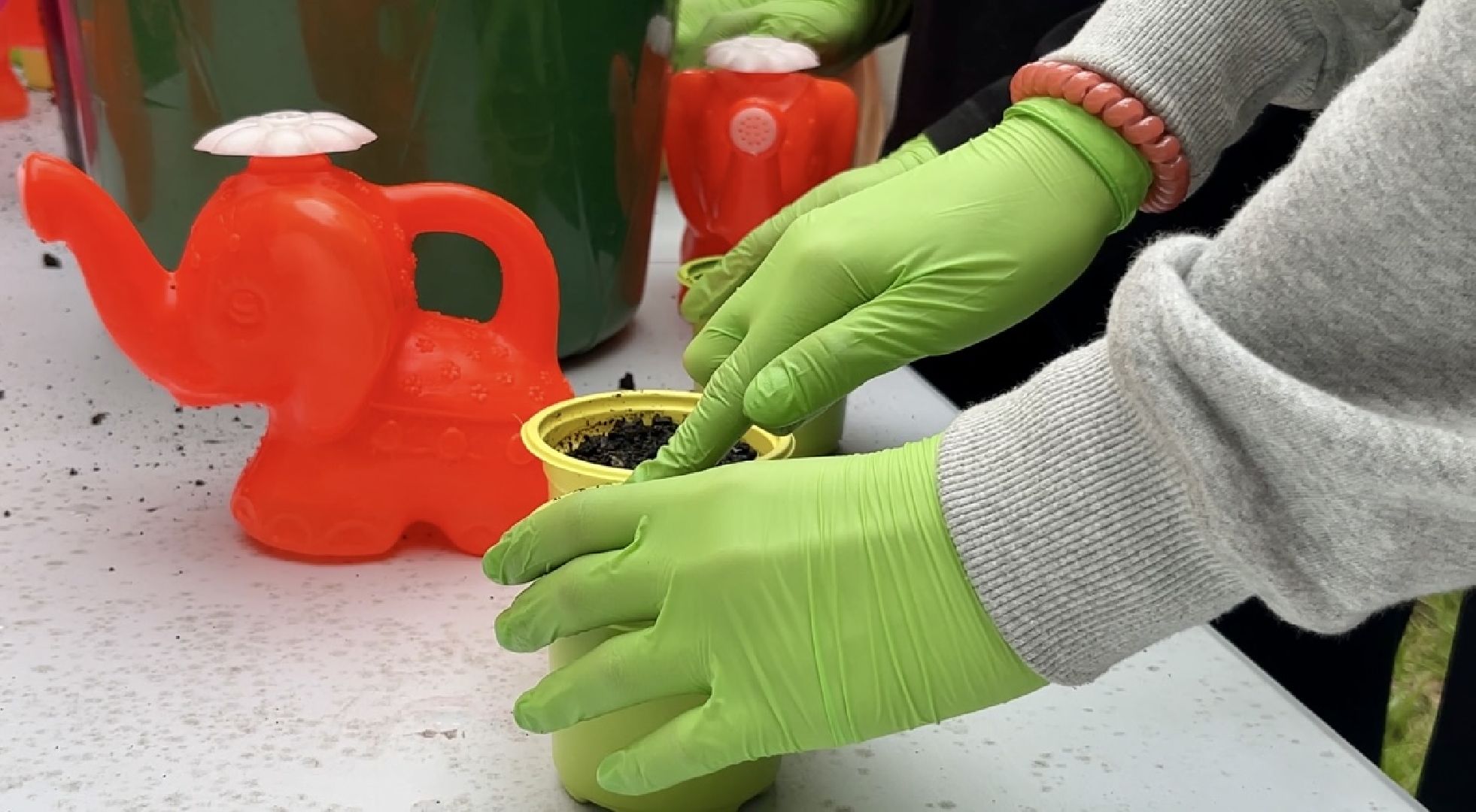 наро-фоминск, наро-фоминский городской округ, общественный огород, центральный парк наро-фоминска,