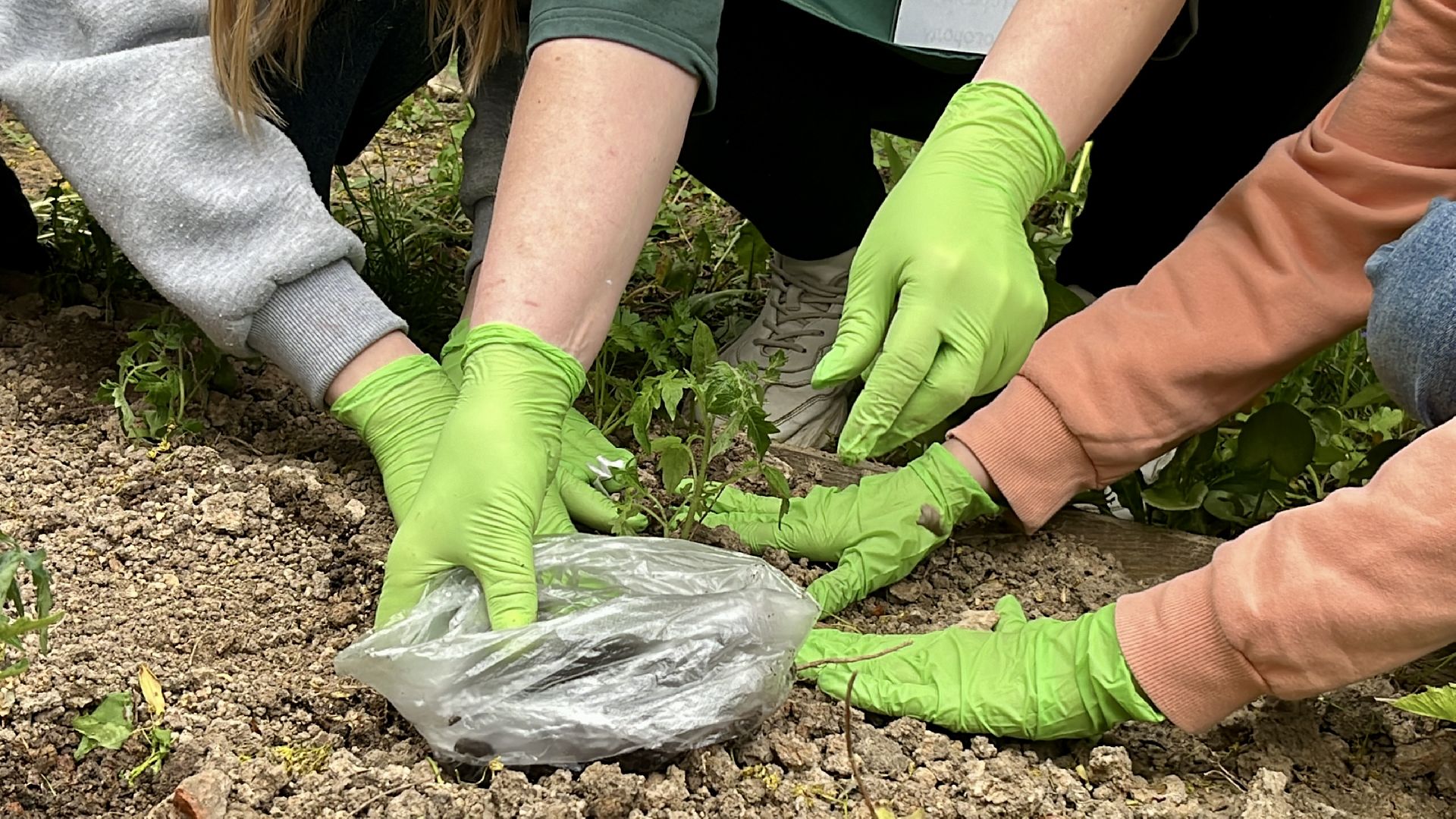 наро-фоминск, наро-фоминский городской округ, общественный огород, центральный парк наро-фоминска,