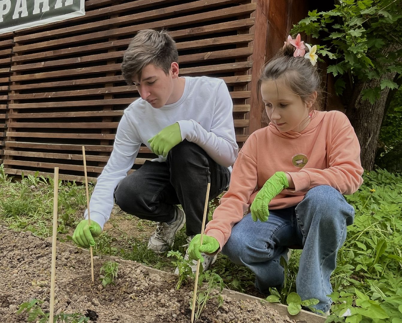 наро-фоминск, наро-фоминский городской округ, общественный огород, центральный парк наро-фоминска,