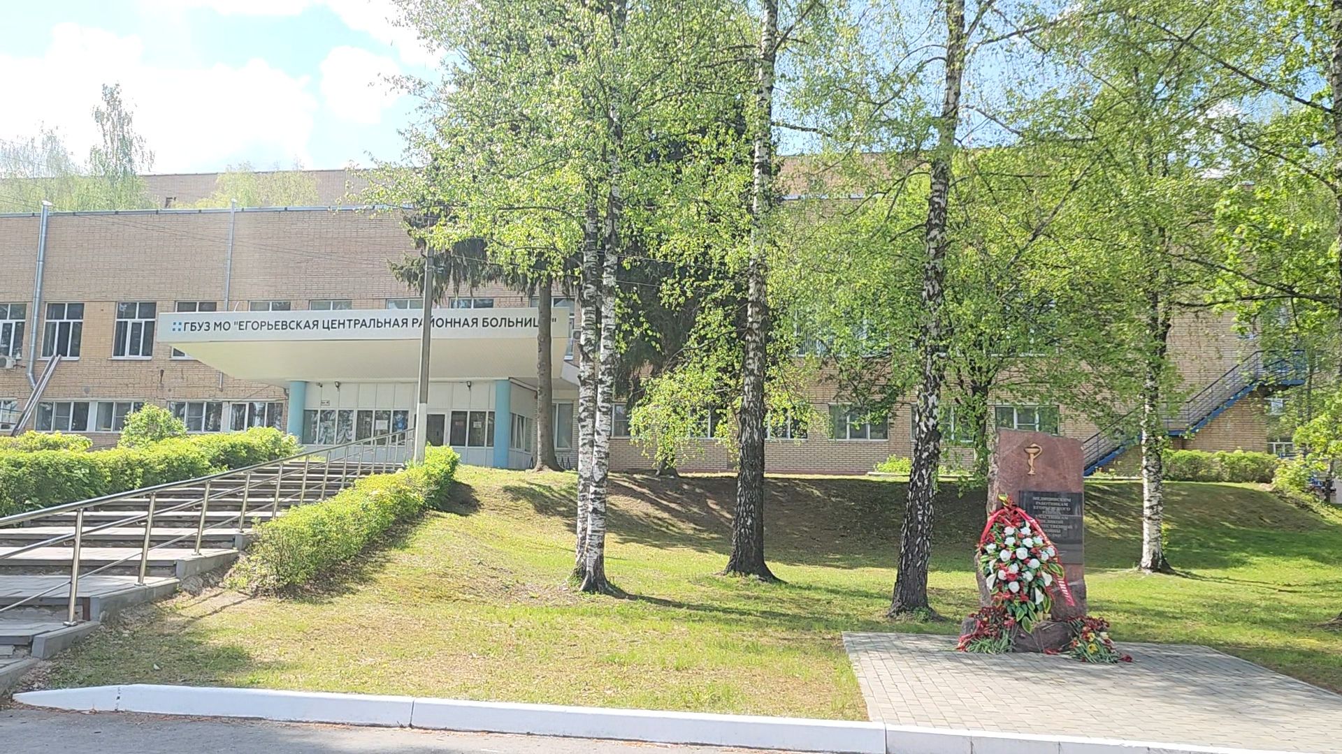 Егорьевск, Подмосковье, Московская область, пыльца,  береза,