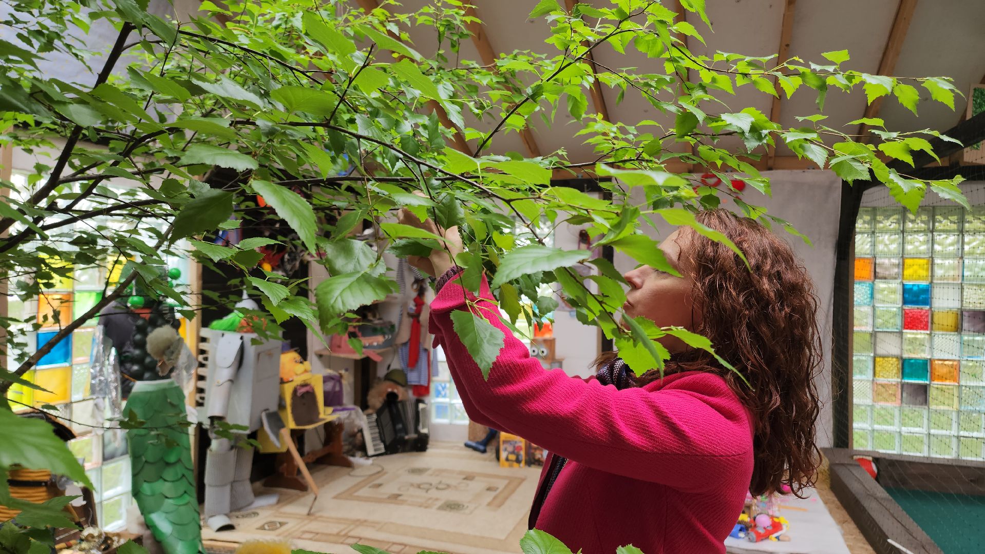 Егорьевск, Подмосковье, Московская область, пыльца,  береза,