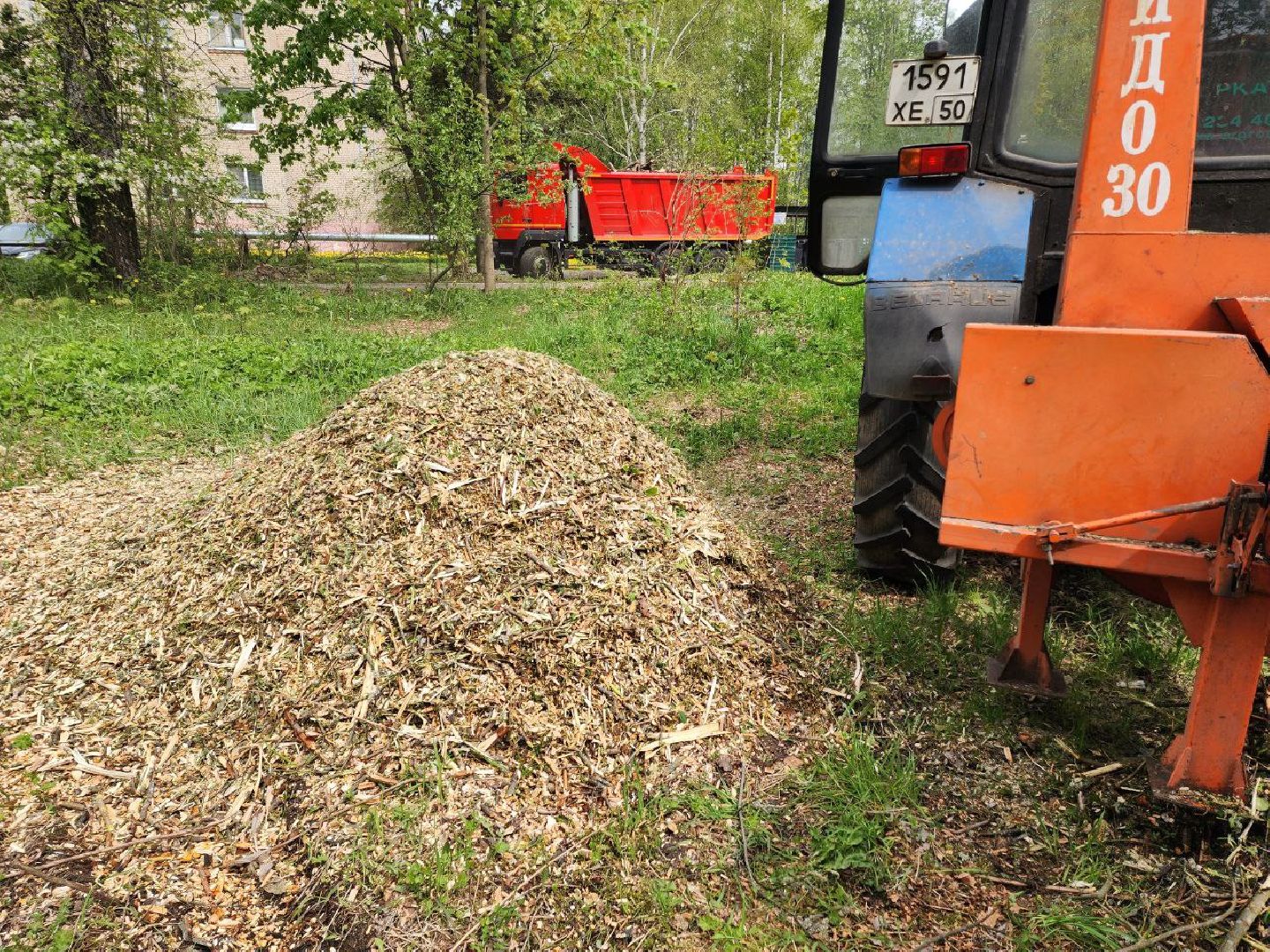 солнечногорск, субботник, уборка, жители, деревья,