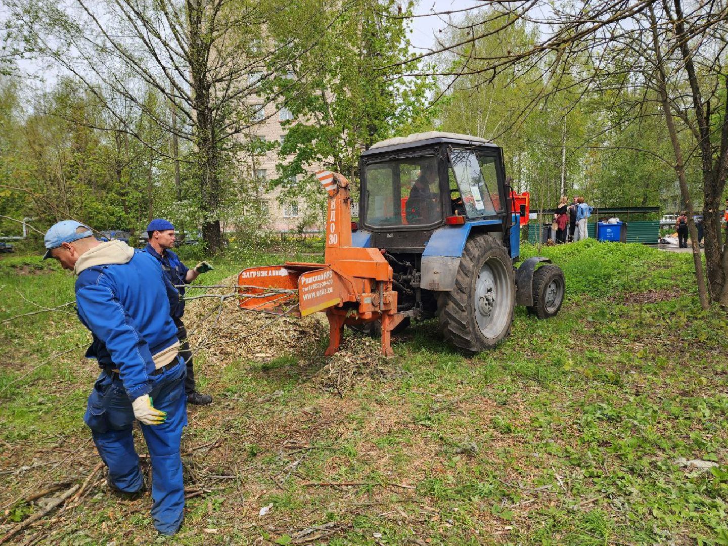 солнечногорск, субботник, уборка, жители, деревья,