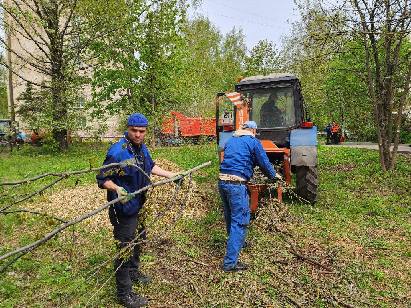 солнечногорск, субботник, уборка, жители, деревья,