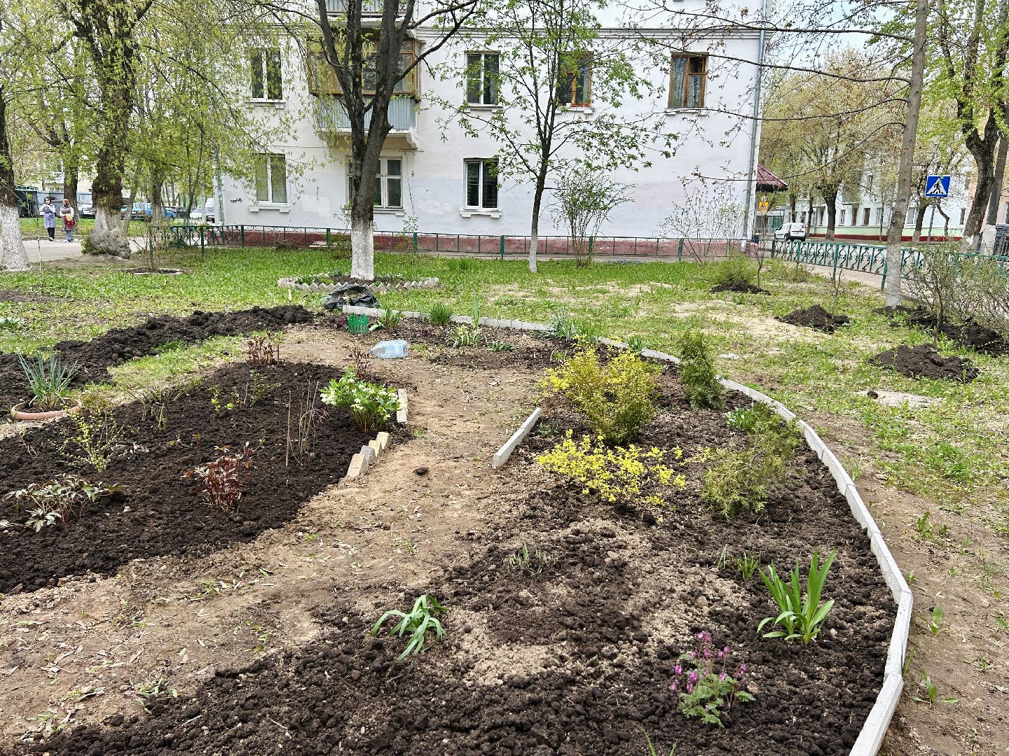 Благоустройство, палисадник, жители, фрязино, цветы