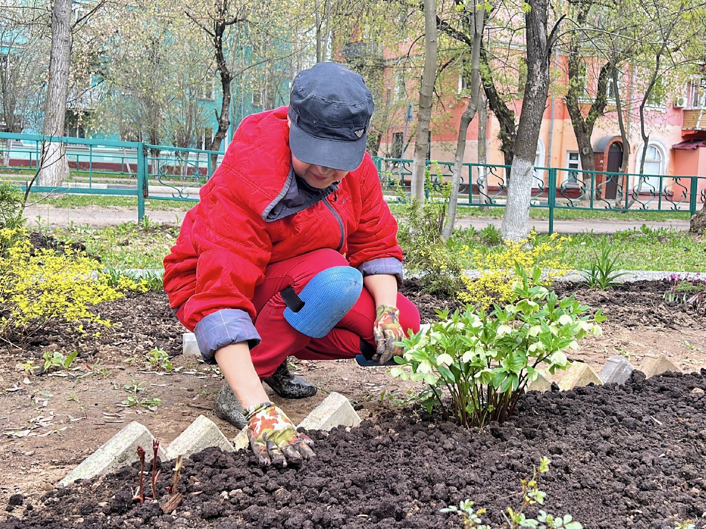 Благоустройство, палисадник, жители, фрязино, цветы