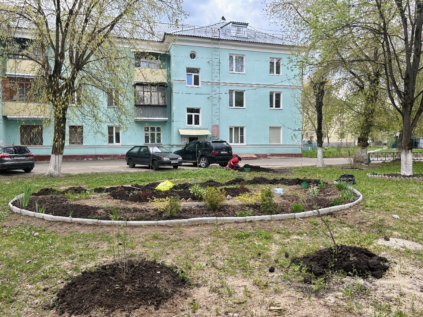 Благоустройство, палисадник, жители, фрязино, цветы